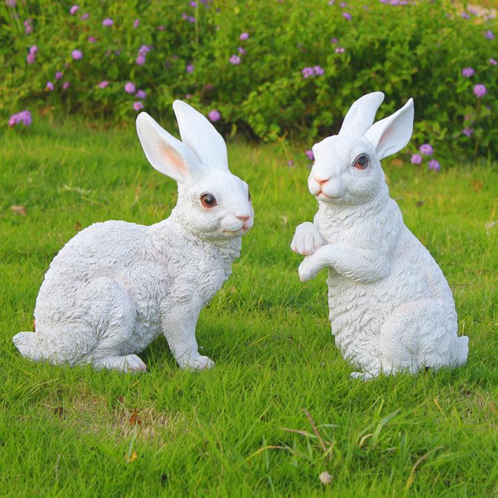 安哥拉兔缺点,安哥拉兔的特点(安哥拉兔的特点和样子)
