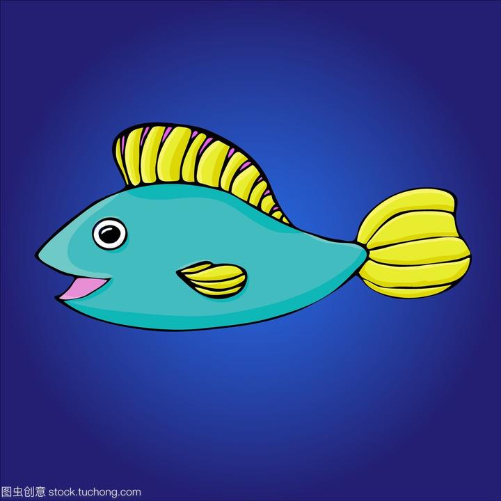 观赏鱼龙鱼有多少个品种,金龙鱼有多少个品种