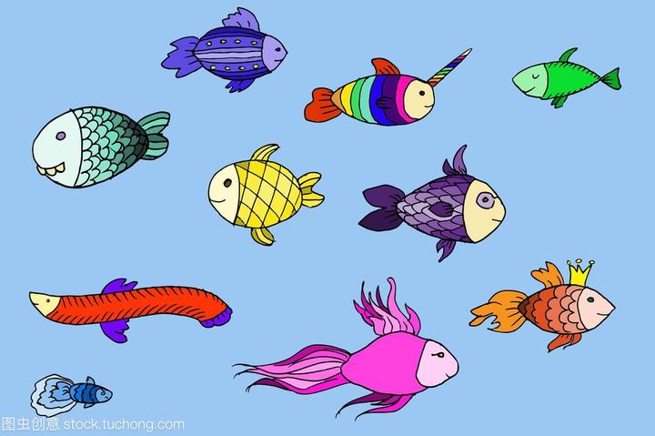 缸里一般养多少条接吻鱼,接吻鱼，红绿灯，黑裙鱼