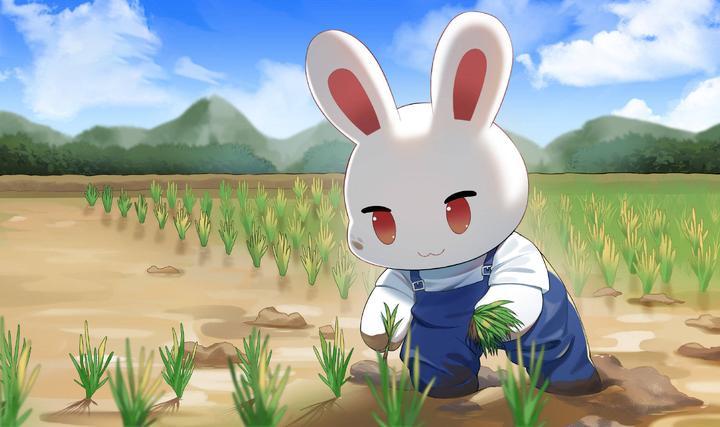 养殖兔子养殖基地,野兔养殖基地哪里有,野兔养殖要办什么手续