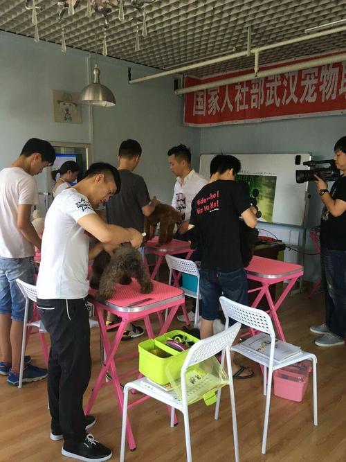 南京宠物美容师宠物美容培训学校