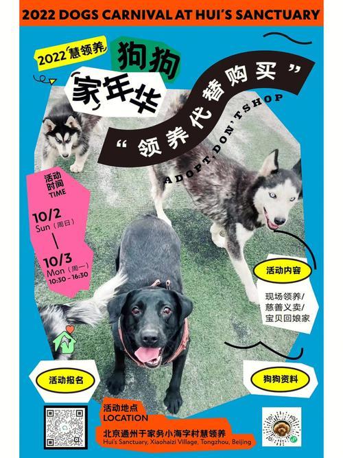 北京宠物免费赠送领养平台