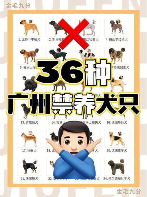 2022广州禁养犬种,广州养犬条例禁养种类
